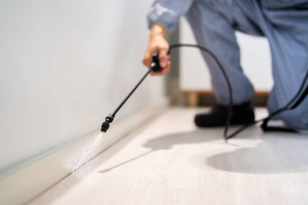 Licensed Wasp Removal service in Worthington Hills, KY - Show Me Pest Control