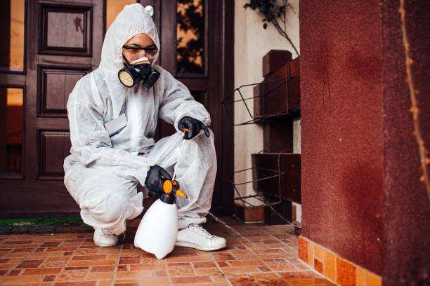 Reliable Wasp Removal contractor in Worthington Hills, KY by Show Me Pest Control
